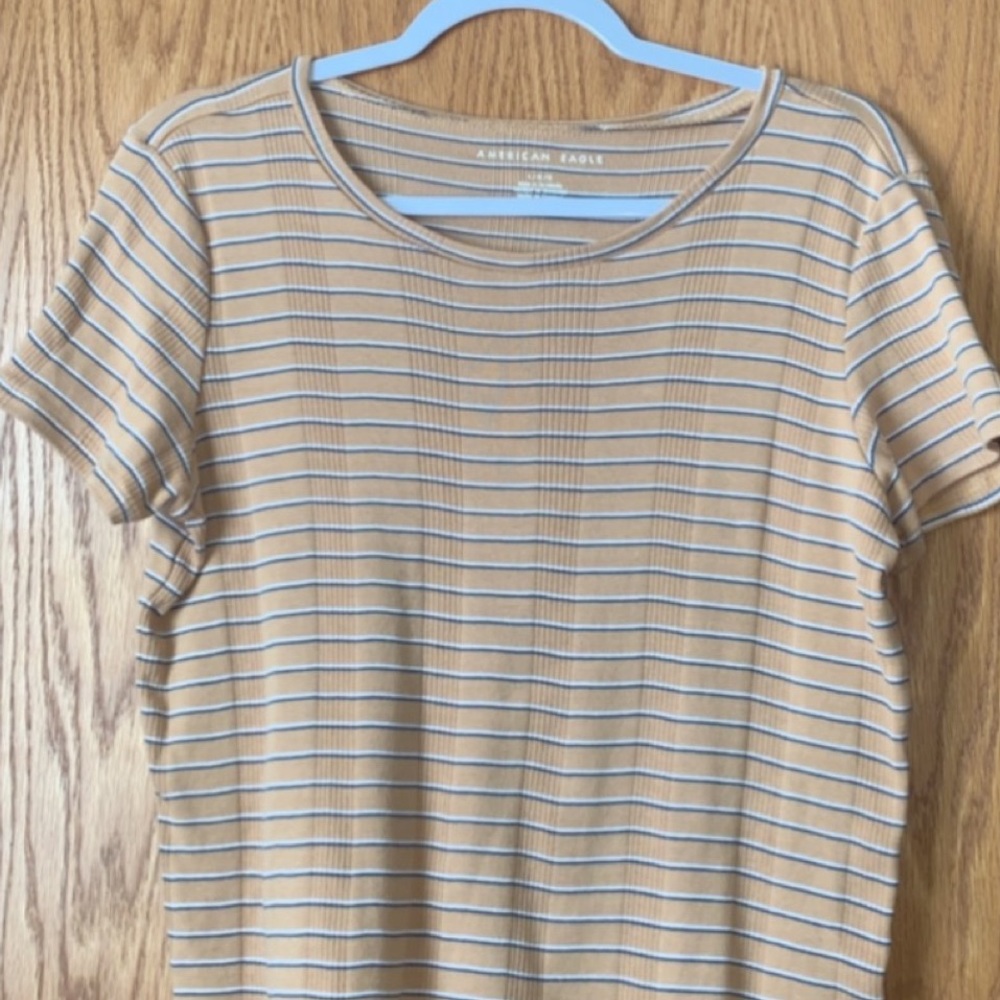 American eagle crop top